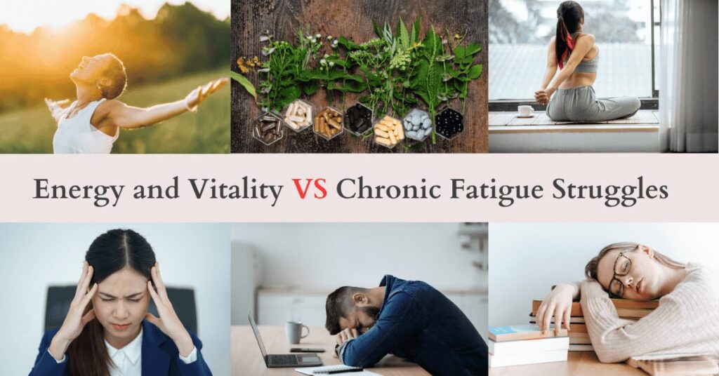 best supplement for chronic fatigue